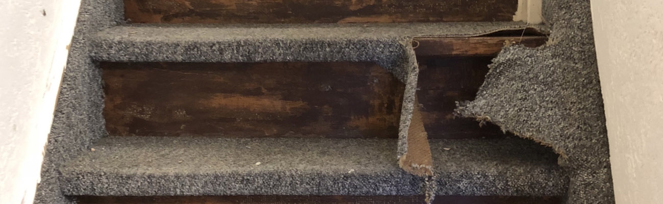 constant Inzet Danser Hoe verwijder ik tapijt van mijn trap? | Handige tips!